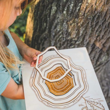 natural-wooden-puzzle-trees-for-children-soundswood