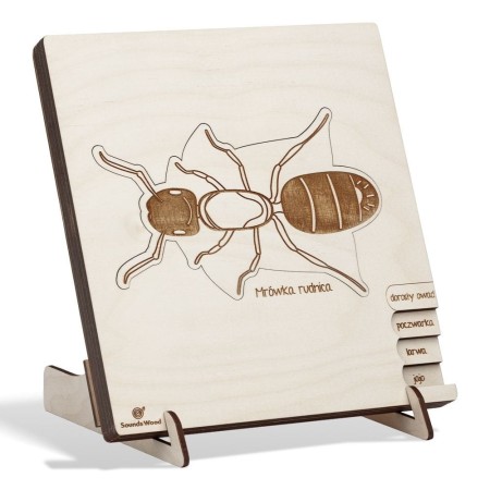 puzzle-educatif-en-bois-fourmi-rouge-soundswood