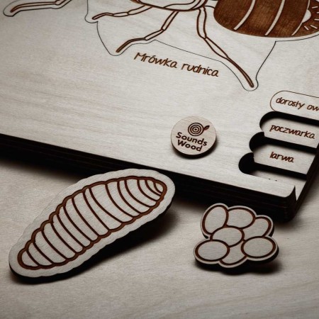 puzzle-en-bois-montessori-insectes-soundswood