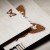 jouets-educatifs-en-bois-biologie-soundswood