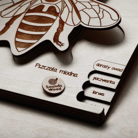 jouets-en-bois-écologiques-insectes-enfants-soundswood