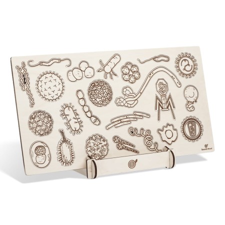 wooden-educational-puzzle-virus-bacteria-disease-soundswood