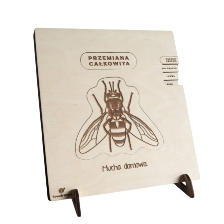 house-fly-sounds-wood