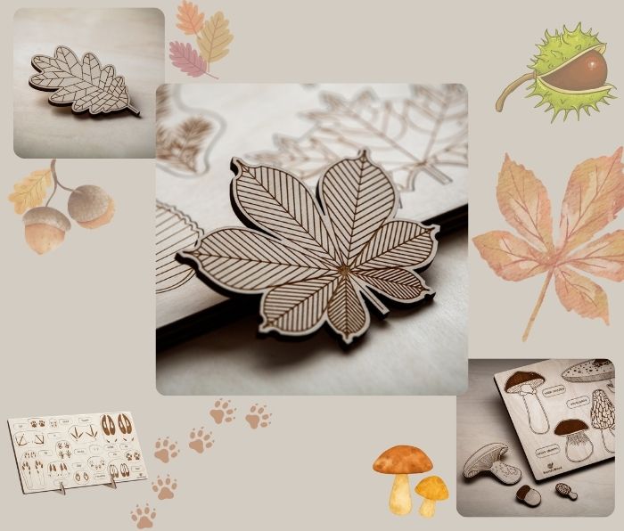 Autumn full of discovery